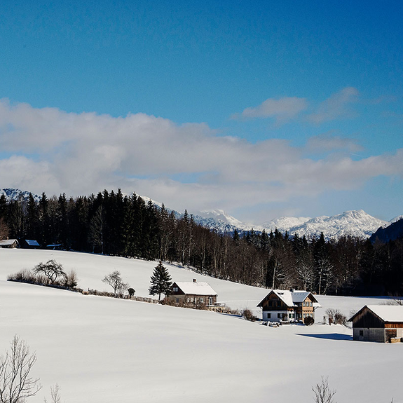 Photo ©: Wolfgang Stadler